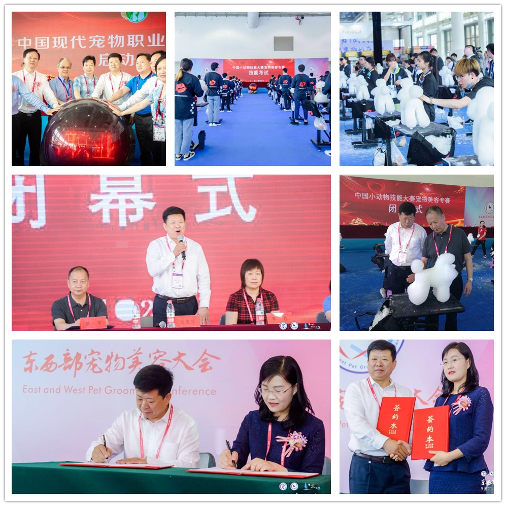 中国现代宠物职业教育联合体启动仪式暨中国…